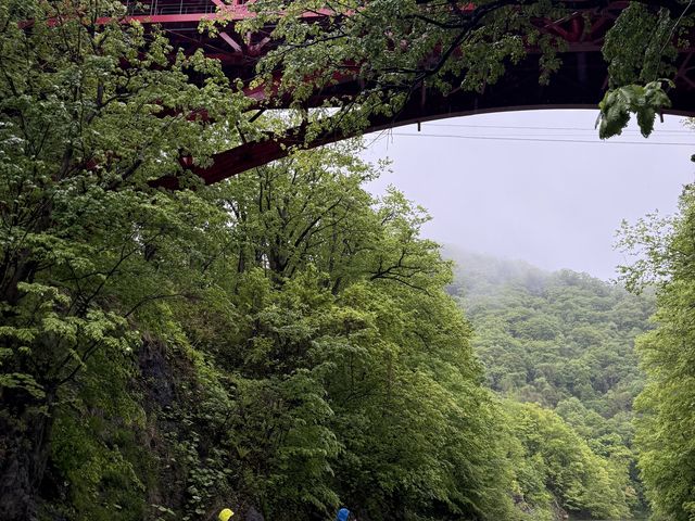橋の下がとても綺麗でした!!_野あそびベース フリルフスリフ