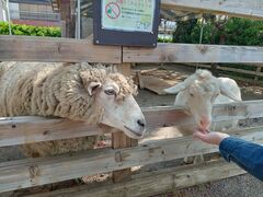 飯田市立動物園の写真1