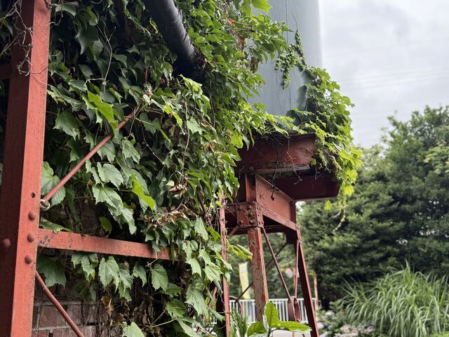 レンガ造りの建物と給水塔、歴史を感じました_権田酒造株式会社