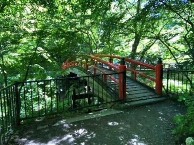 カエデの木に囲まれた 河鹿橋_河鹿橋