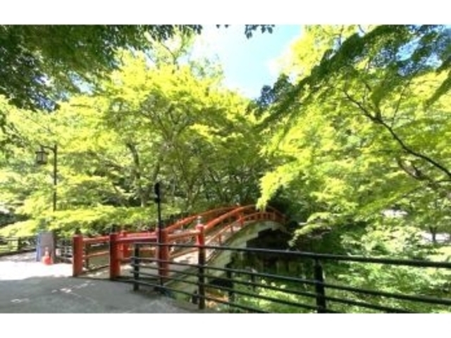 カエデの木に囲まれた 河鹿橋_河鹿橋