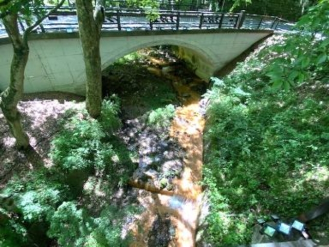 河鹿橋・紅葉橋下を流れる黄金色に染まった湯沢川の川底_河鹿橋