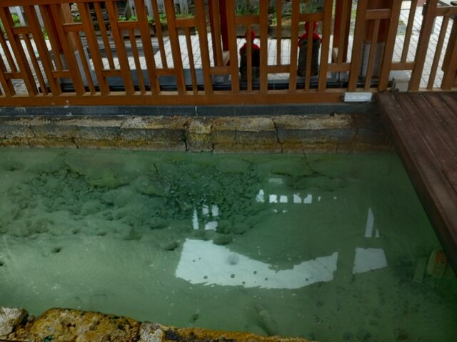 地蔵の湯 源泉_裏草津