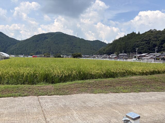 風景_アマンズガーデン直営BBQ場