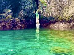 伊豆自然学校の写真1