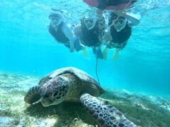 まえださんのOCEAN LIFEへの投稿写真1