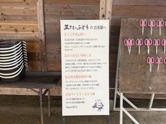 王さまのぶどう旅行村農園の写真2