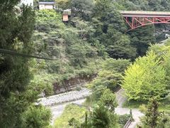 フォレストアドベンチャー祖谷の写真2