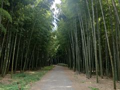 若竹の杜 若山農場の写真1