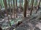 ああああさんの古宮城址への投稿写真3