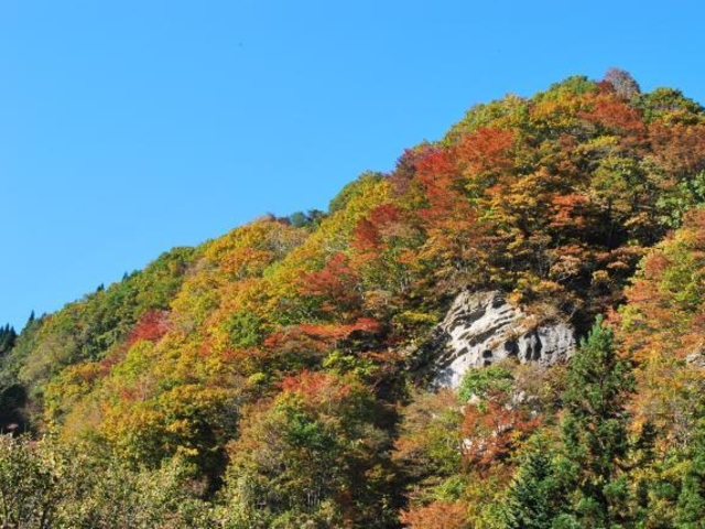 鳥崎渓谷八景