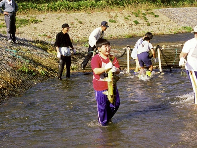 真駒内川さけ観察広場の写真1