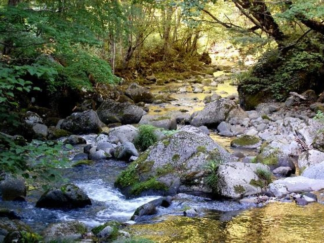 パンケ川の写真1