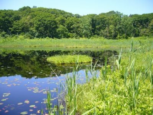 湯川沼の写真1