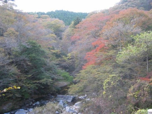 大北渓谷の写真1