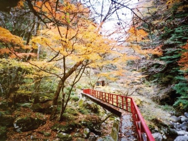 奥香肌峡_奥香肌峡