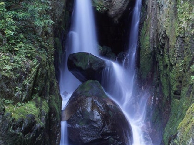 陰陽の滝の写真1