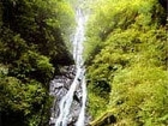 平治の滝の写真1