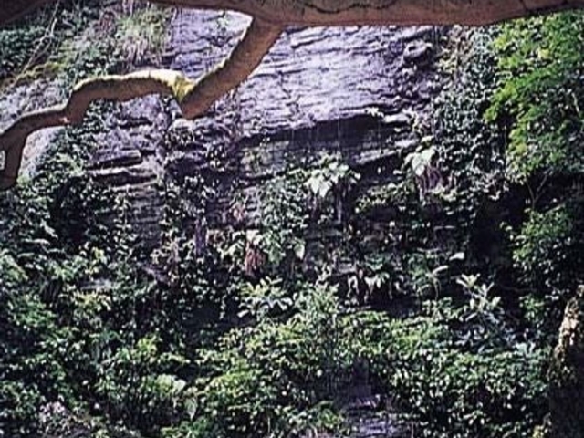 建治の滝の写真1