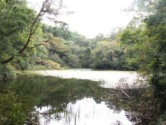赤蔵ヶ池の写真1