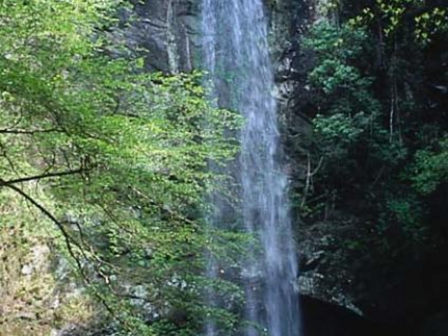 樽の滝の写真1