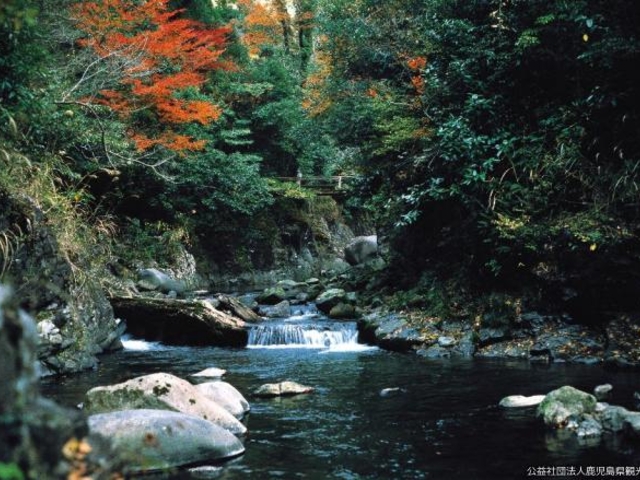 奥十曽渓谷の写真1