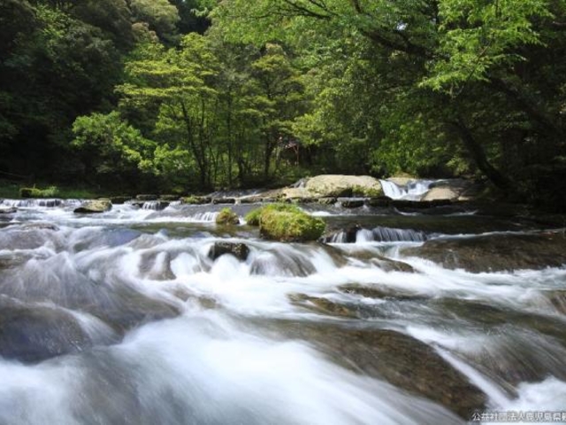 大川原峡渓谷の写真1