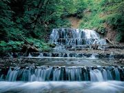 鹿鳴の滝の写真2