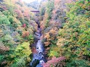 五色渓谷の写真1