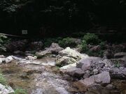 背戸峨廊の写真1