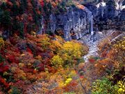 白糸の滝の写真1