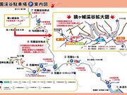 花園渓谷の写真2