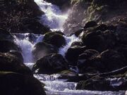 小又川渓谷の写真1