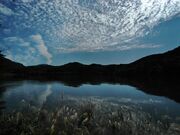 鵜の池の写真2