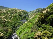 綾川渓谷の写真1