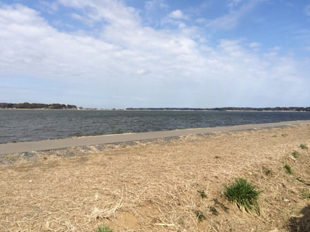 涸沼