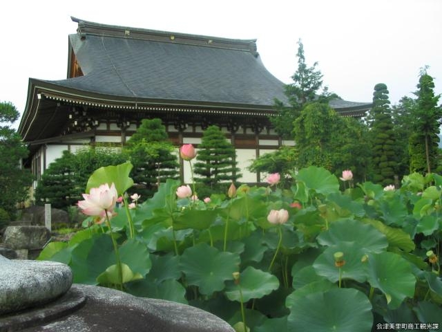 華芳園から龍興寺本堂北側を望む_龍興寺
