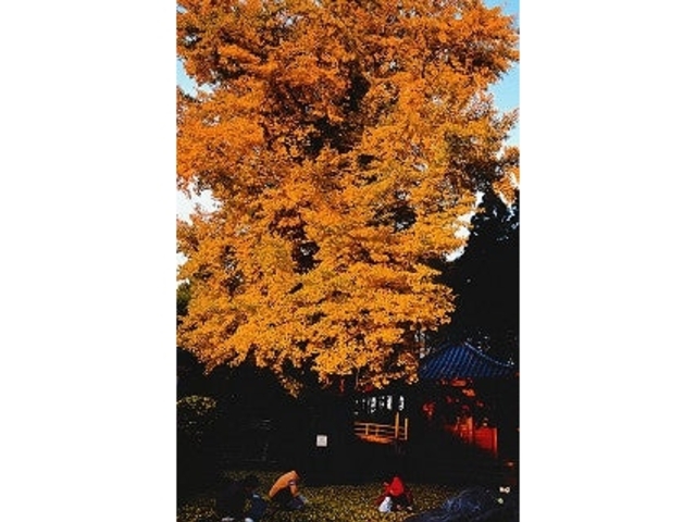 城興寺(延生地蔵尊)