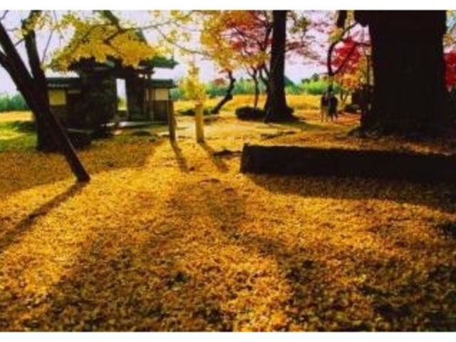 丹波国分寺