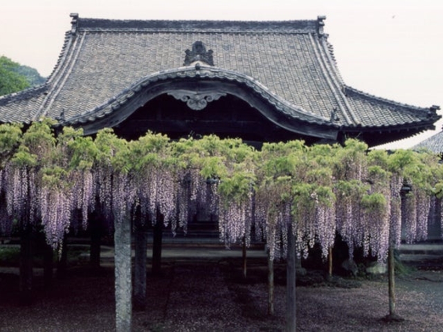 梅岳寺