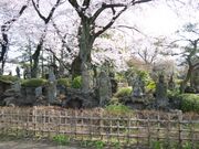 百観音明治寺の写真1