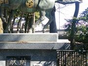 鵜坂神社の写真1