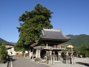 加子母大杉地蔵尊の写真1