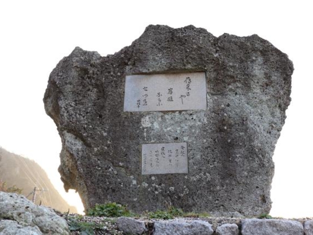 水原秋櫻子句碑の写真1