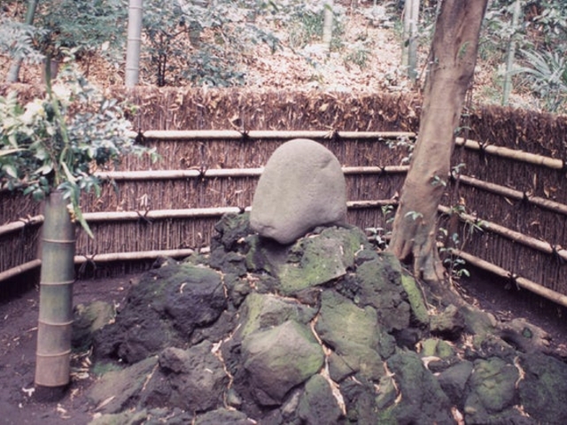 竹採塚の写真1