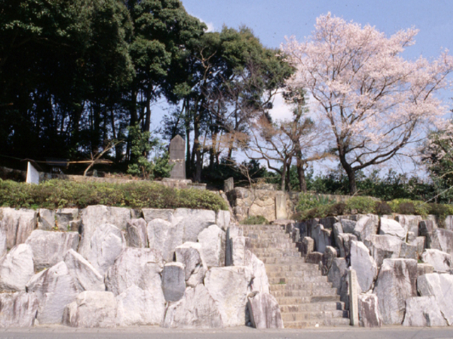 伝橘逸勢墓の写真1