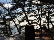 きだみのる記念文学碑の写真1