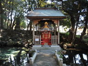 泉が森の写真2