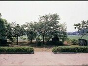 石井の井戸の写真1