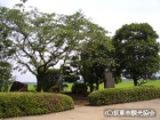 石井の井戸の写真2